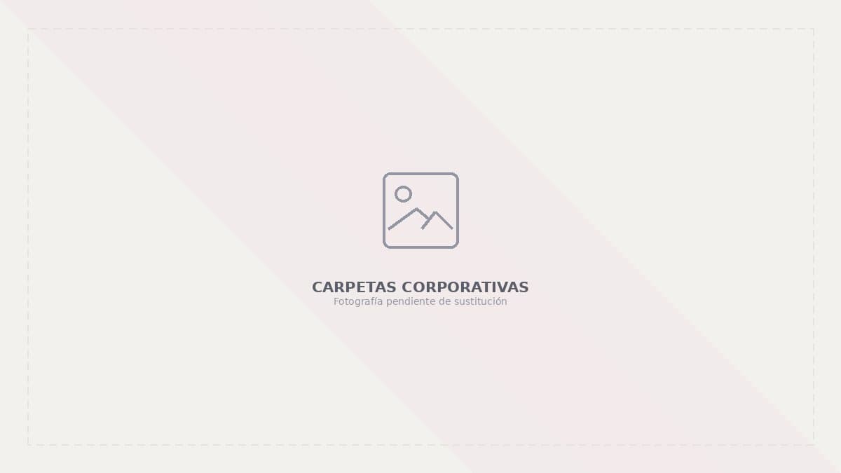 Ejemplo de trabajo de carpetas corporativas realizado en Murcia